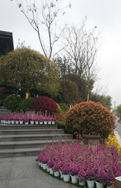 瀘州佳樂(lè)世紀(jì)城歡樂(lè)匯二期及前廣場(chǎng)室外景觀(guān)工程