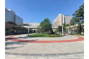 四川大學(xué)華西醫(yī)院景觀綠化改造工程